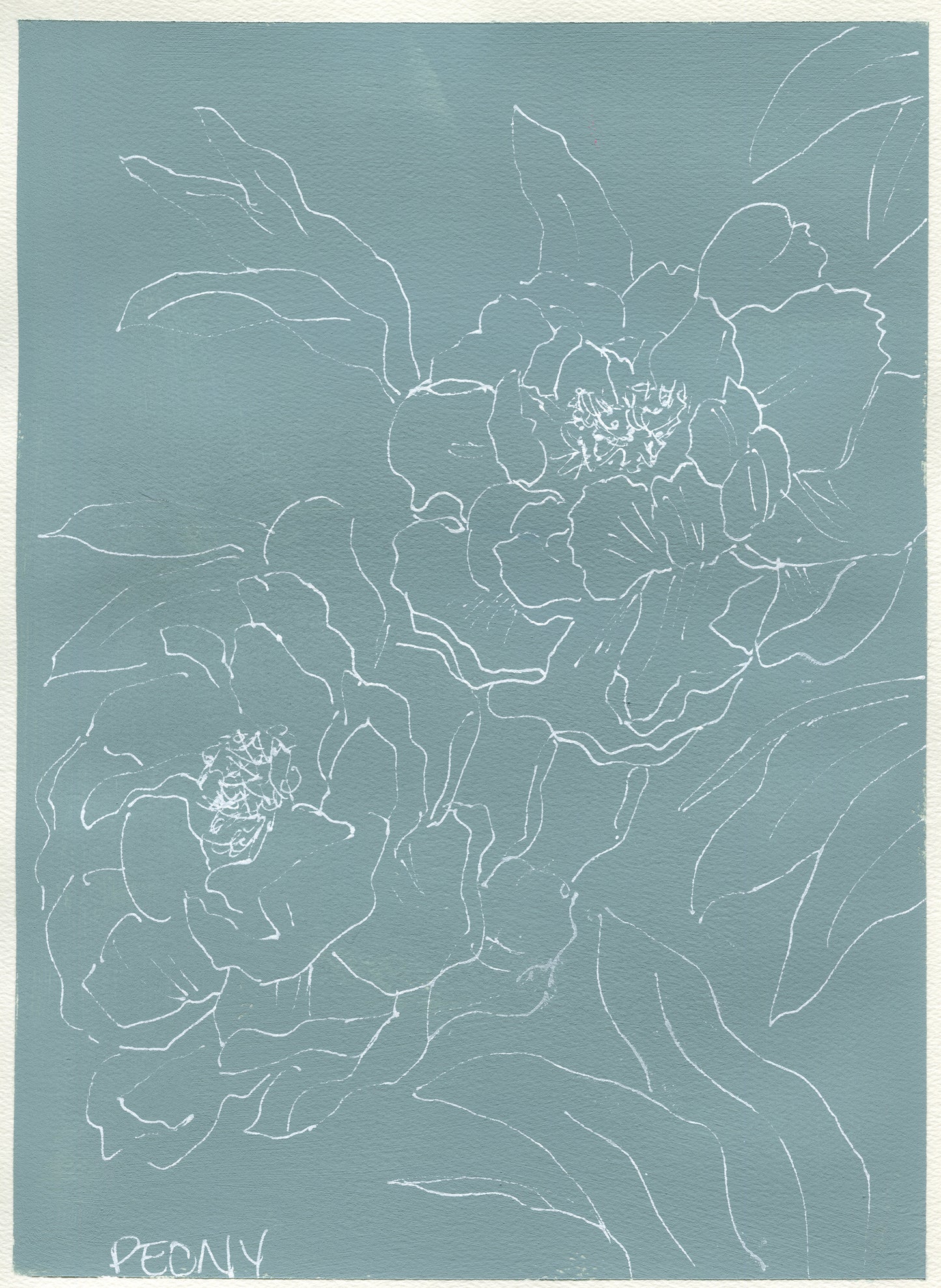 Peony line drawing over acrylic paint on paper 9x12 - carved effects