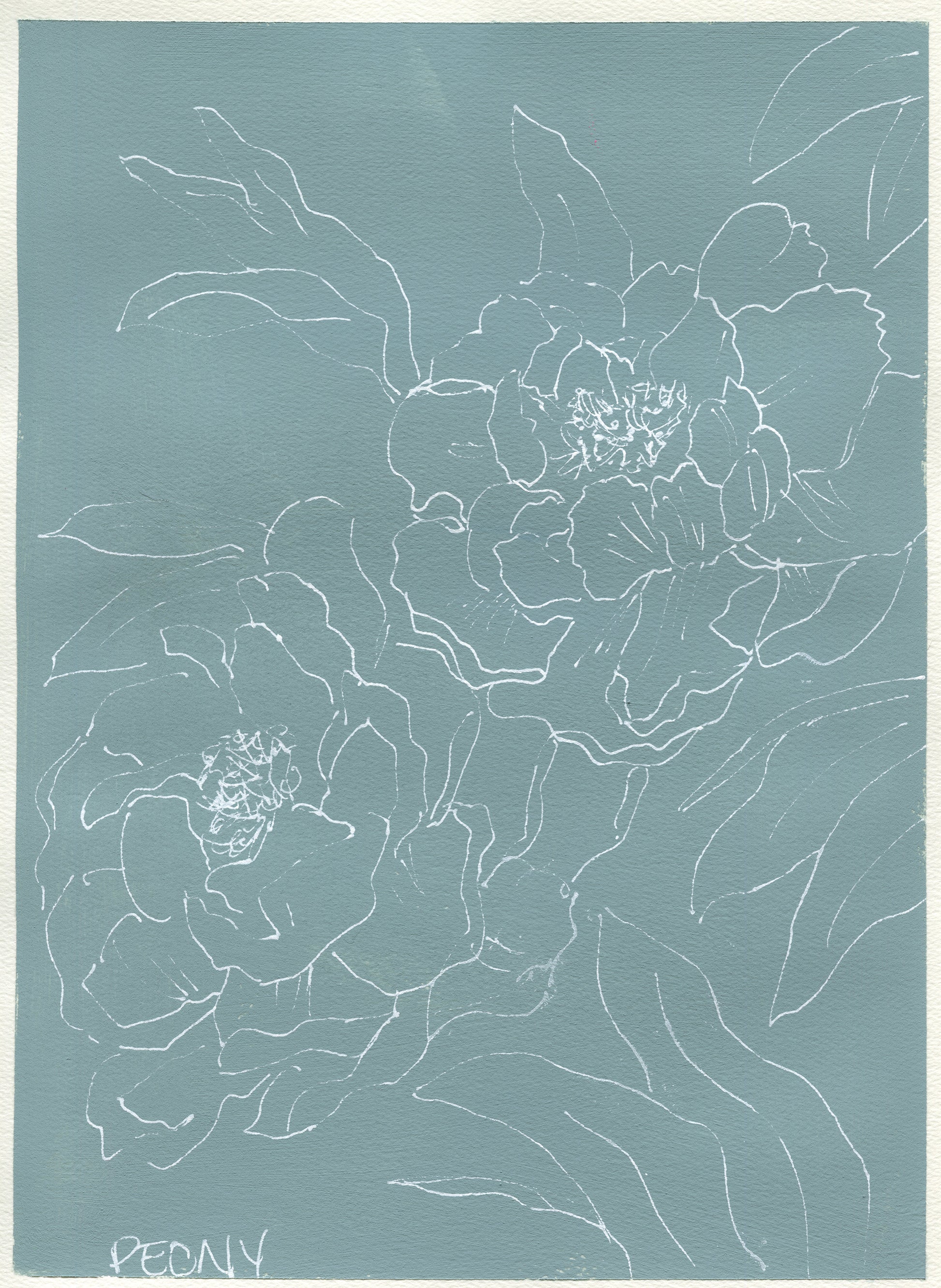 Peony line drawing over acrylic paint on paper 9x12 - carved effects