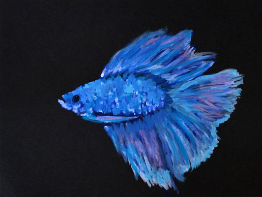 Betta fish hand painted acrylic painting 6x8, small fish wall art, Siamese fighting fish painting, original artwork