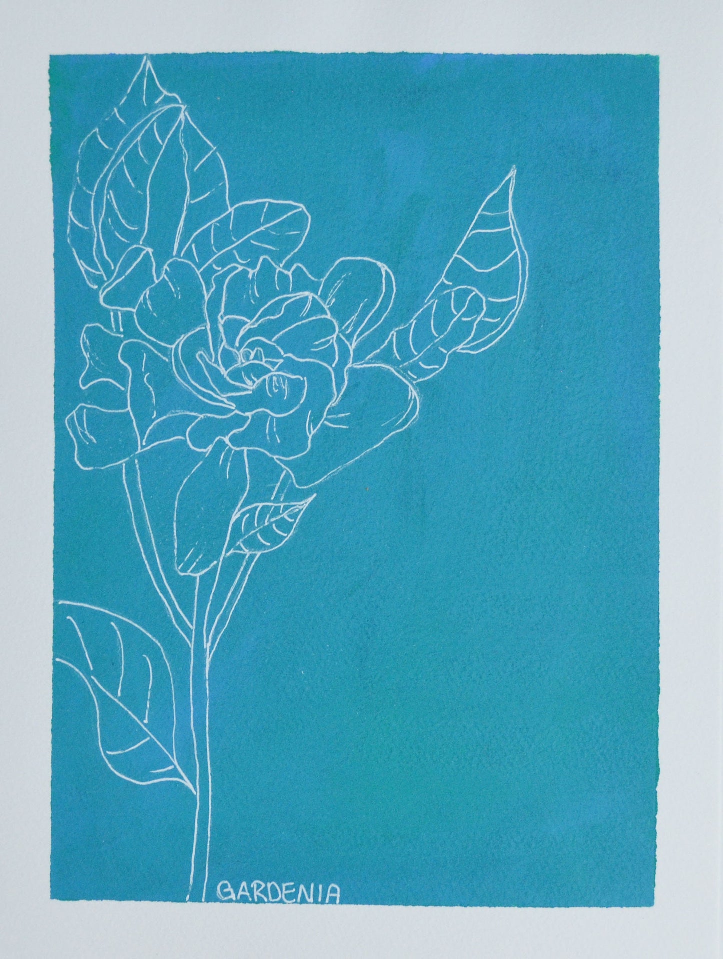 Gardenia line drawing acrylic painting on watercolor paper 9x12, hand painted modern botanical, simple botanical original artwork