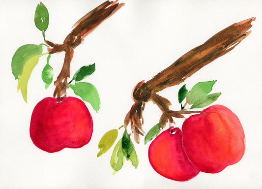 Apples hand painted watercolor painting 9x12, kitchen decor fruit painting, farmhouse decor