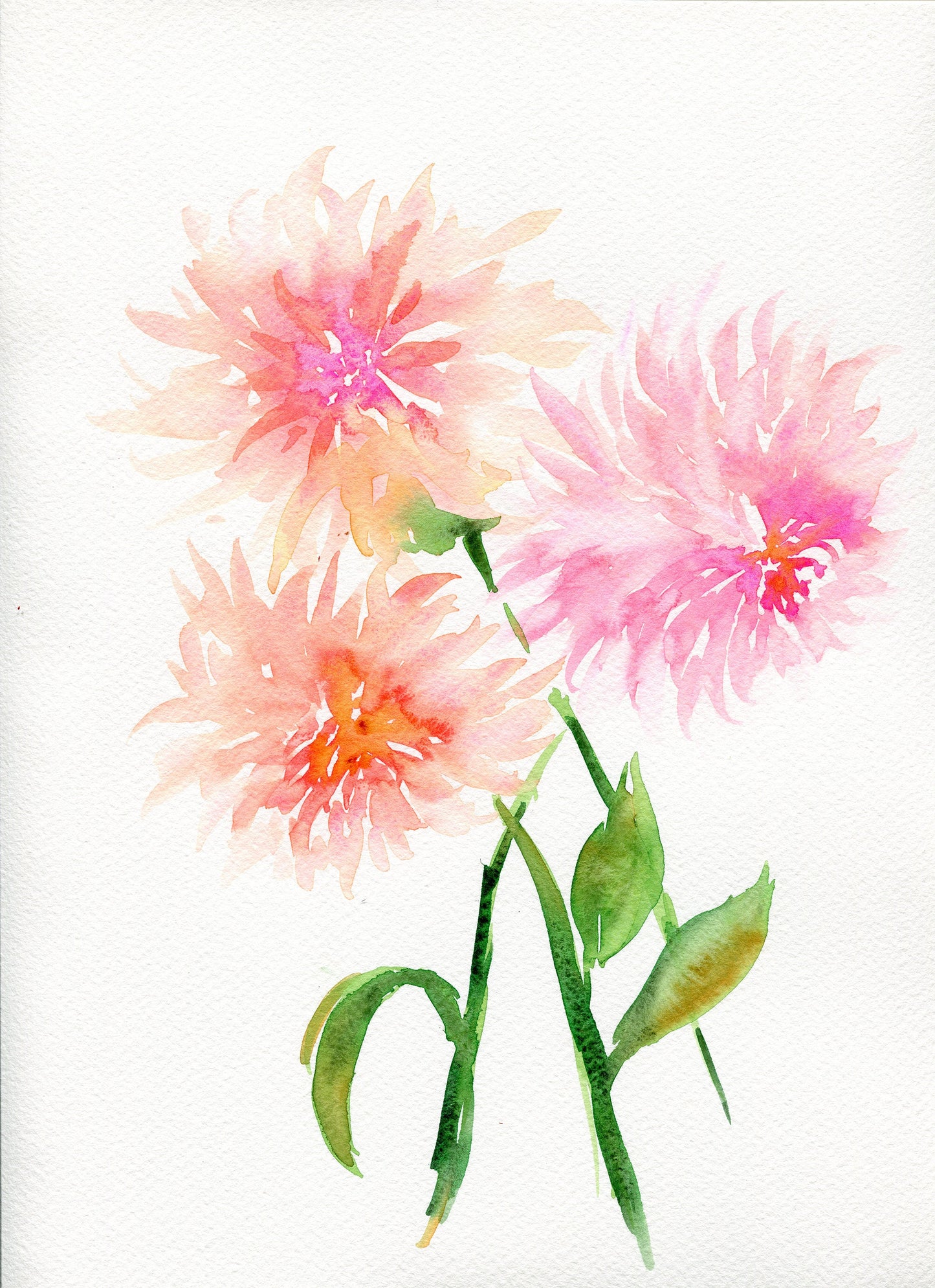 Pink dahlia watercolor painting on paper, original modern floral watercolor, botanical wall art