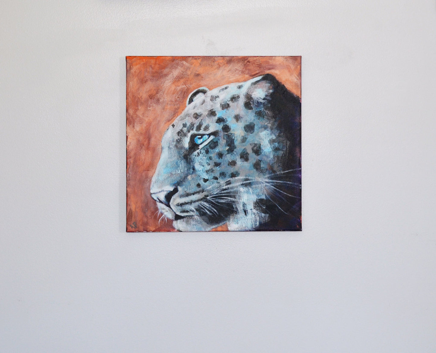 Leopard spots face original hand painted acrylic painting on canvas 14x14x.5, safari life bedroom wall decor, vibrant wall hanging