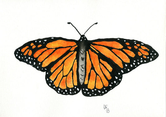 Monarch butterfly watercolor painting 9x12, original orange and black butterfly watercolor artwork