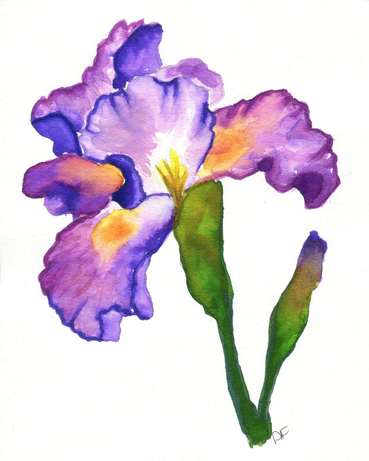 Purple Iris hand painted watercolor painting 8x10, floral wall decor, original botanical artwork