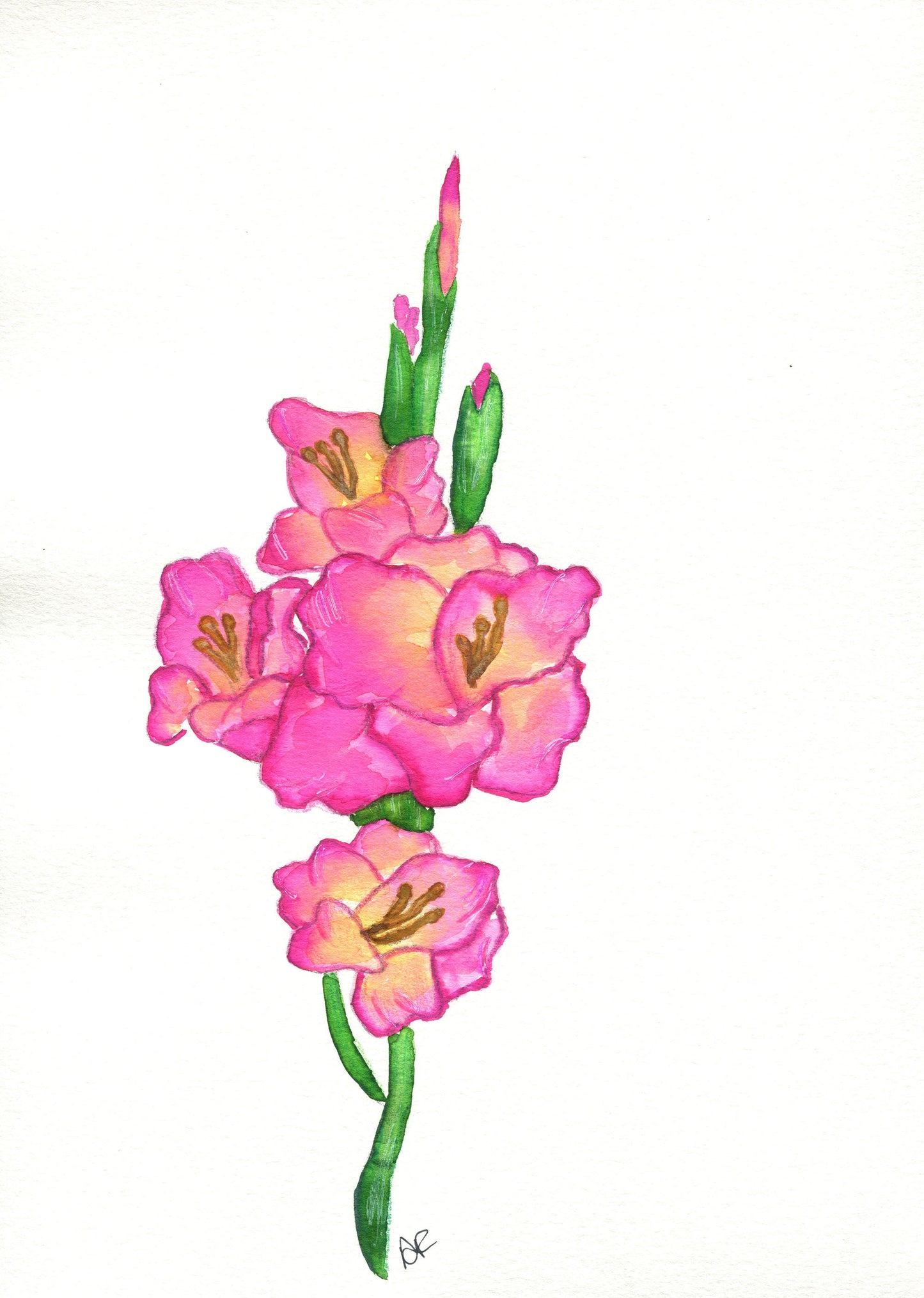 Gladiolus watercolor painting 9x12