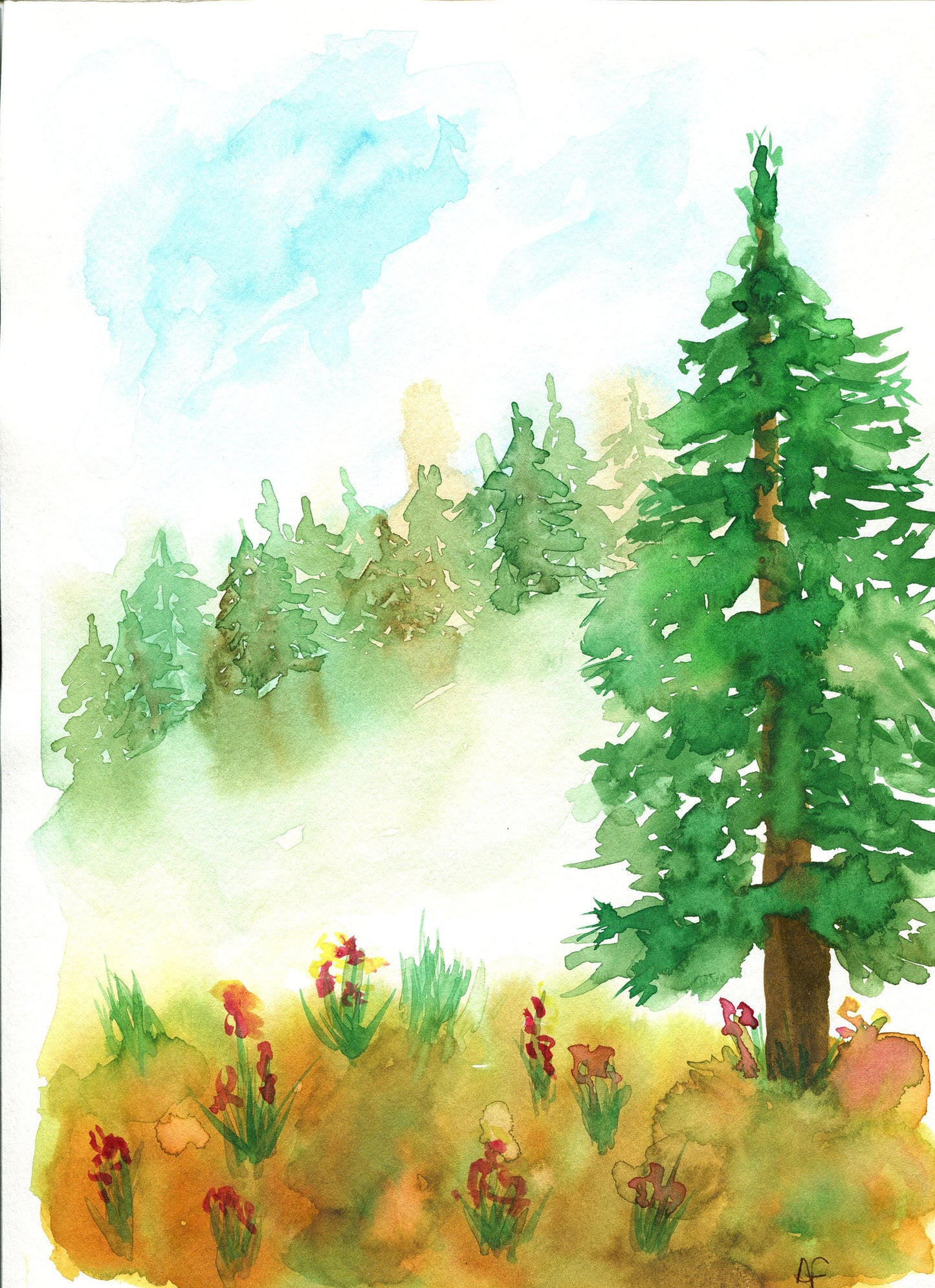 Evergreen forest and red wildflower hand painted watercolor painting 9x12, original wilderness landscape watercolor painting