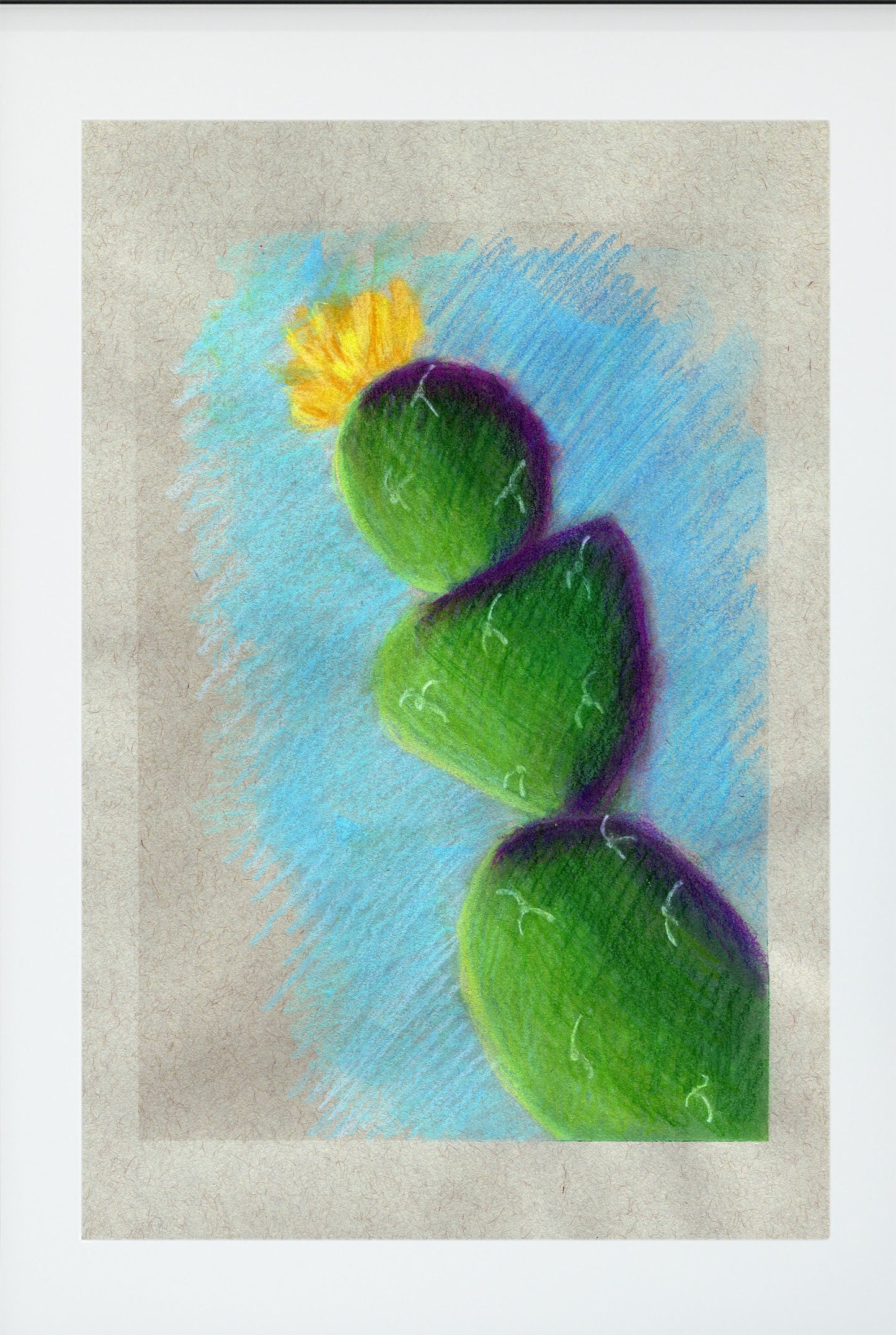 Flowering cactus mixed media drawing 9x12, hand drawn southwestern wall art, pink flowering cactus artwork, succulent soft pastel drawing