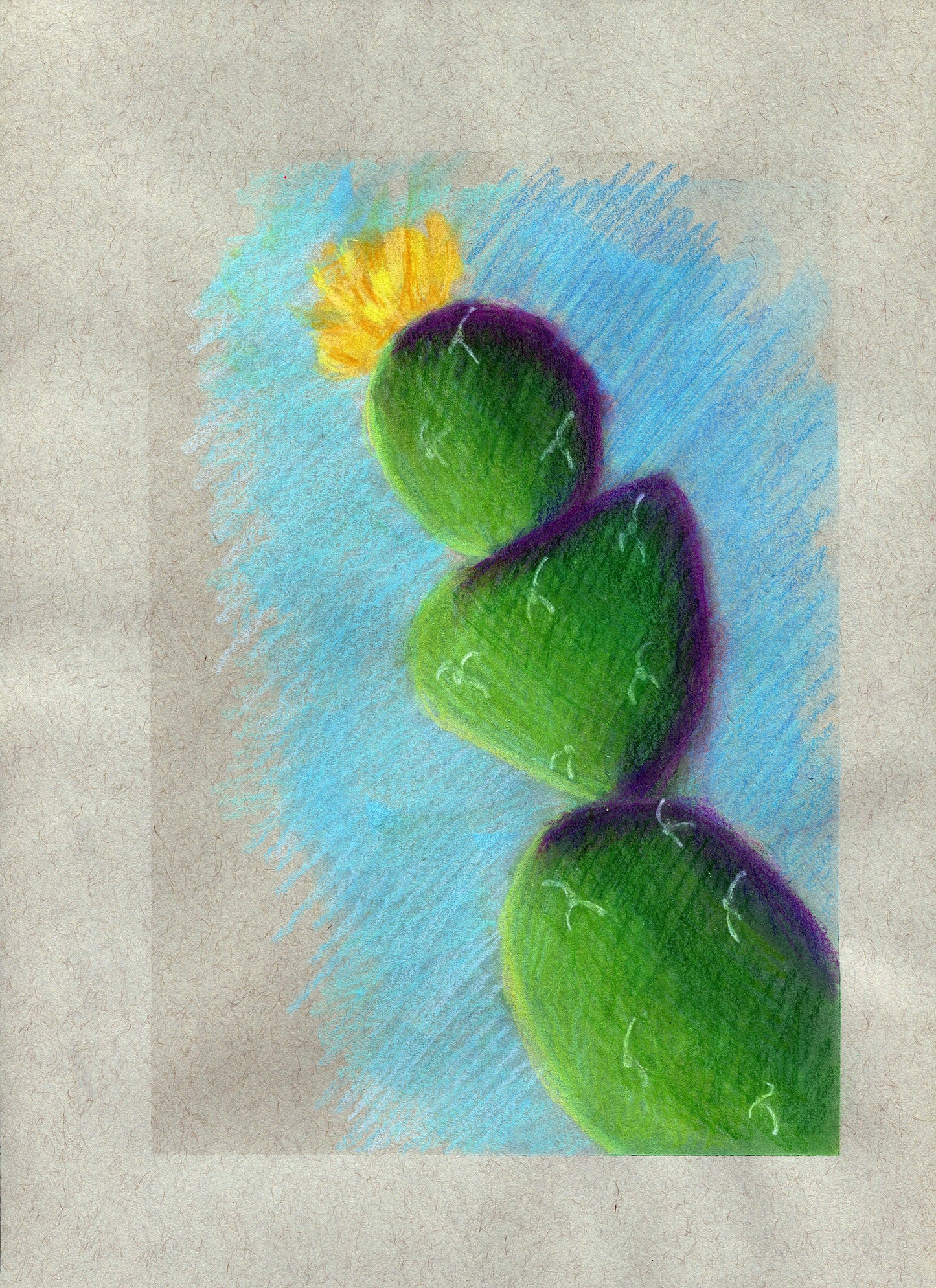 Flowering cactus mixed media drawing 9x12, hand drawn southwestern wall art, pink flowering cactus artwork, succulent soft pastel drawing