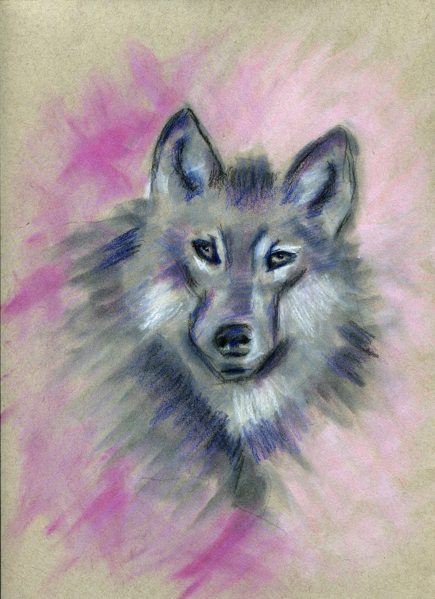 Wolf mixed media drawing 9x12, woodland animal nursery drawing, original pastel, charcoal and colored pencil