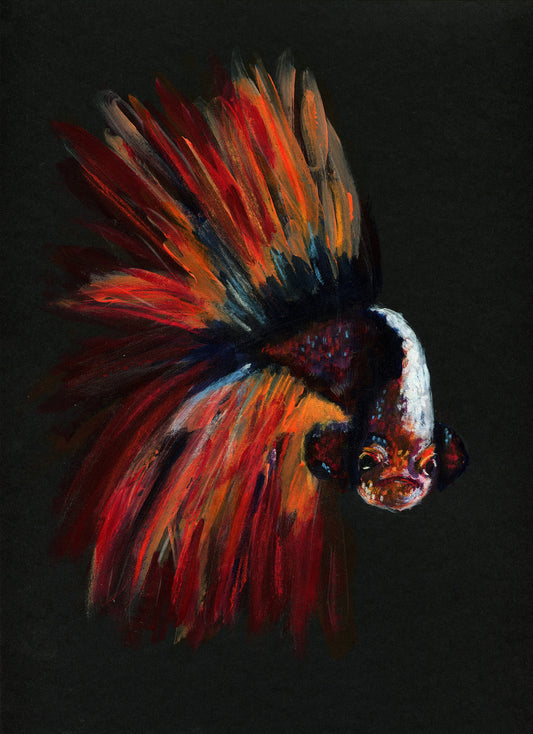 Betta fish, multicolored acrylic painting on black paper 9x12, hand painted wall art, Siamese fighting fish painting, original artwork