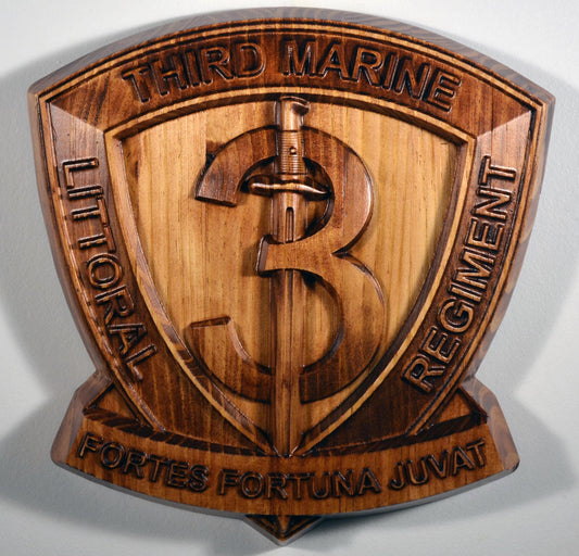 USMC 3rd Marine Littoral Regiment, 12" military plaque