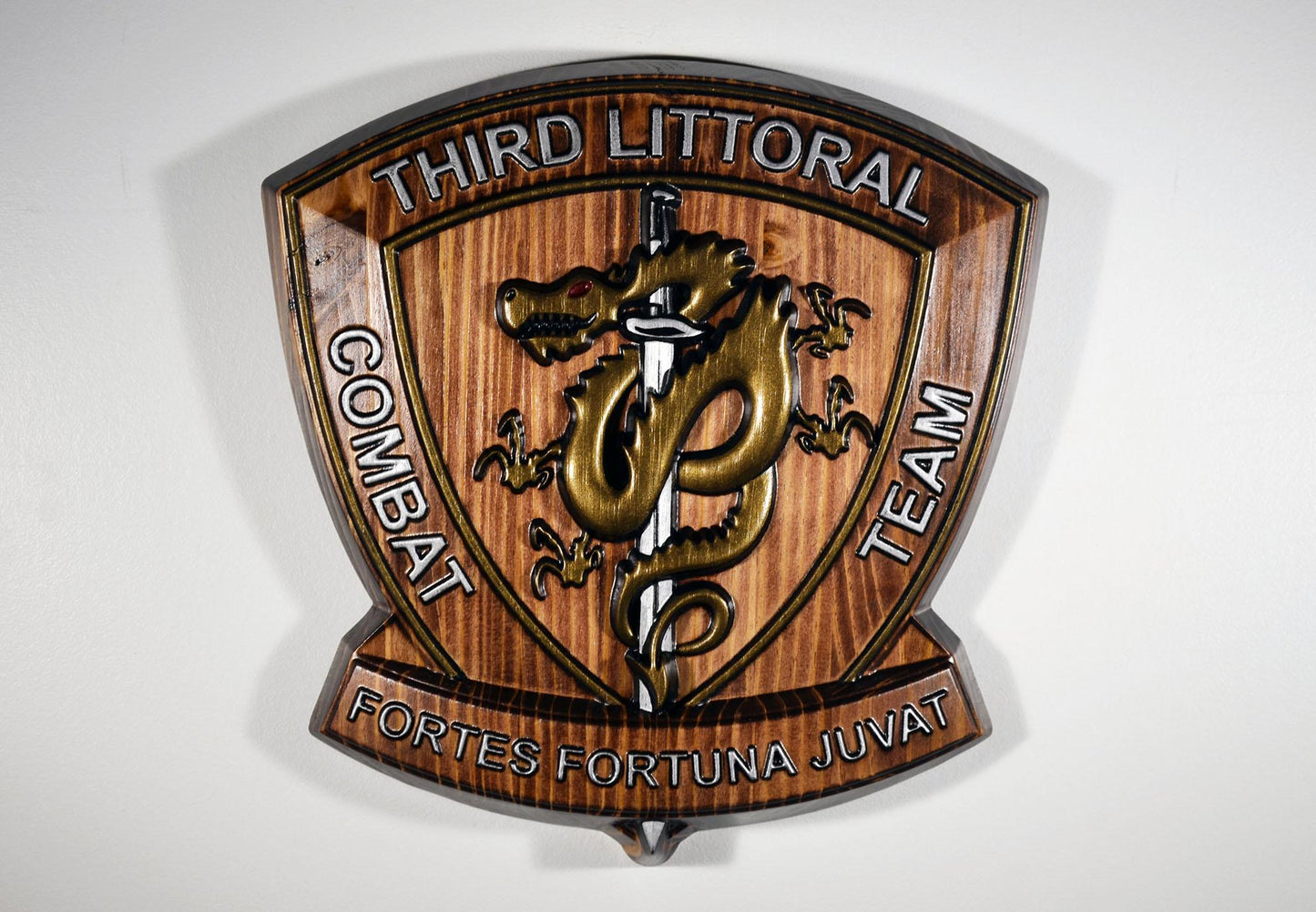 USMC 3D Littoral Combat Team, Marine Corps, Painted 15" Military Plaque