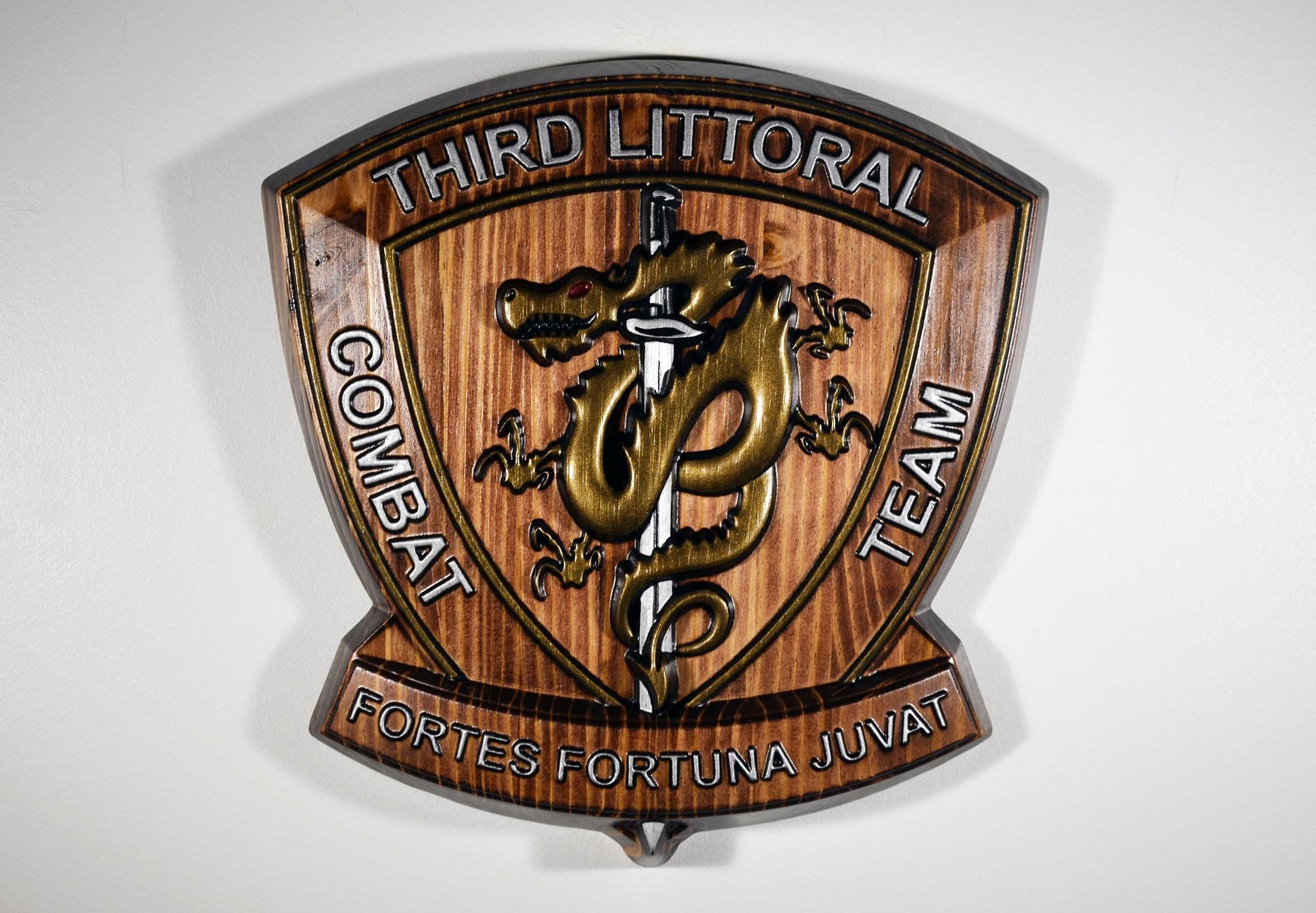 USMC 3D Littoral Combat Team, Marine Corps, Painted 15" Military Plaque