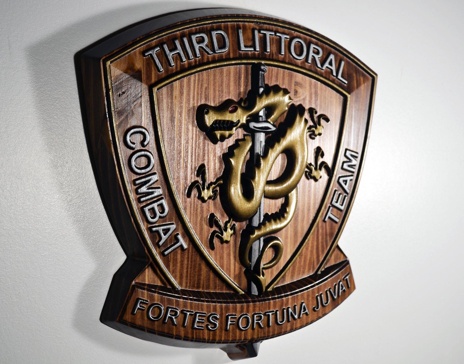 USMC 3D Littoral Combat Team, Marine Corps, Painted 15" Military Plaque