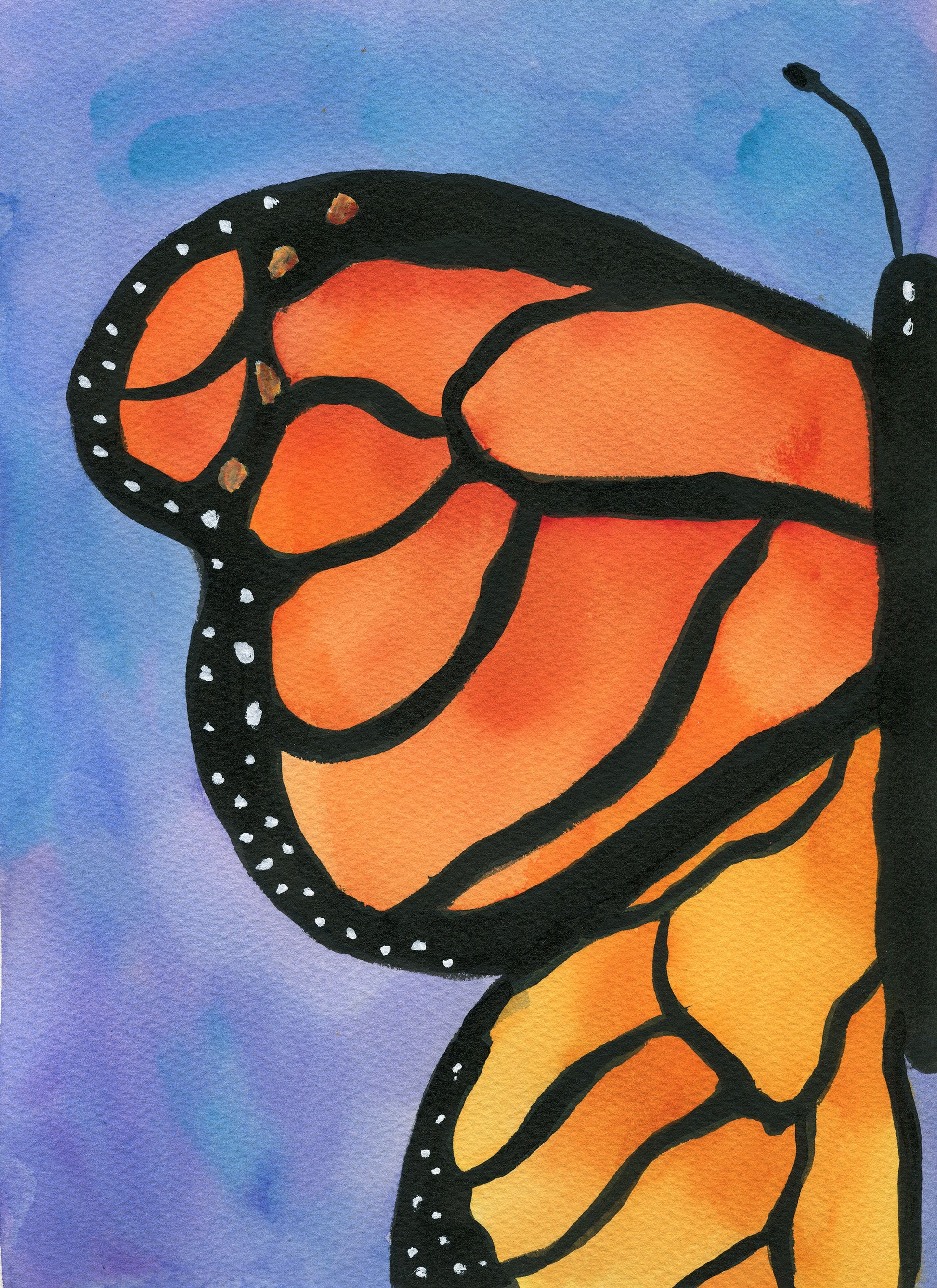 Butterfly wing with orange and black stripes on a blue background