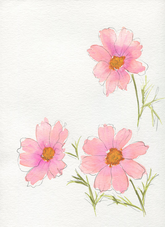 Three pink flowers with green stems on a white background