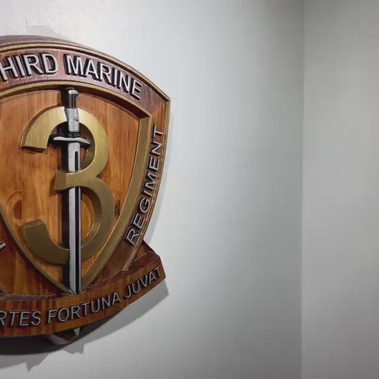 USMC 3rd Marine Littoral Regiment, Painted 15" Military Plaque