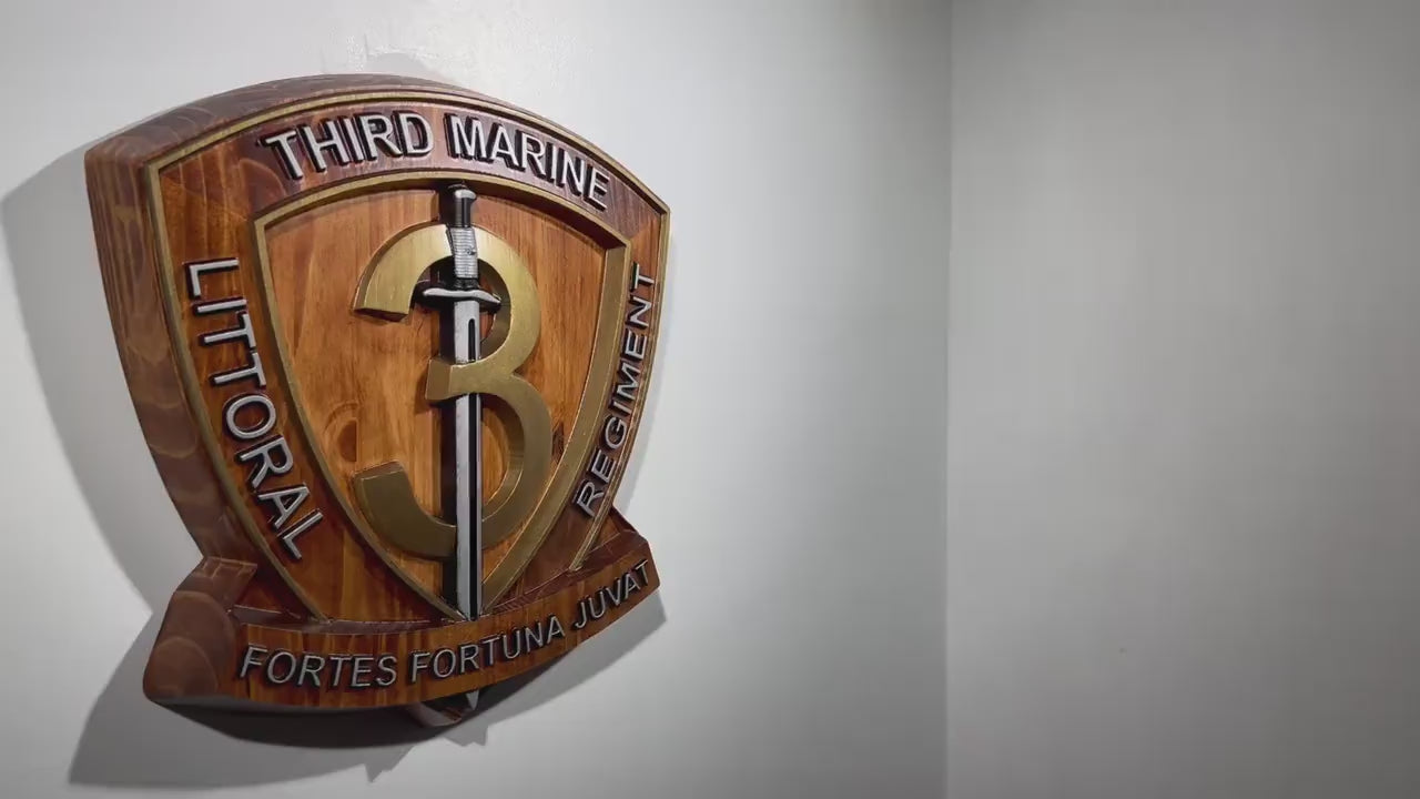 USMC 3rd Marine Littoral Regiment, Painted 15" Military Plaque