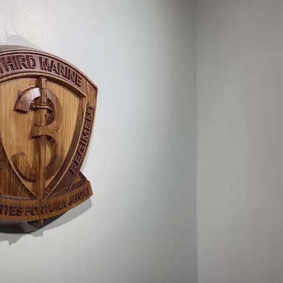 USMC 3rd Marine Littoral Regiment, 12" military plaque