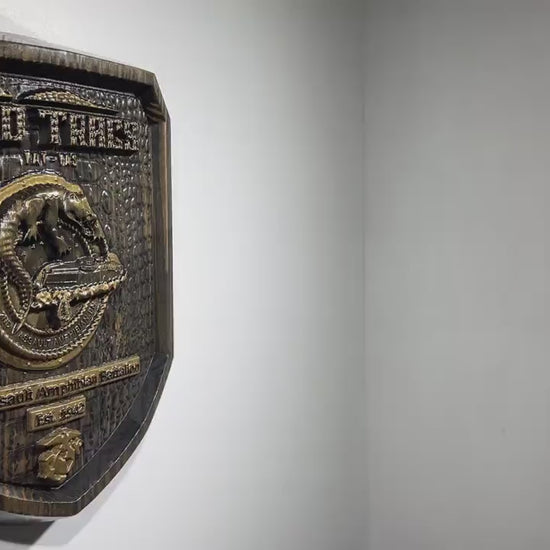 USMC 2nd Assault Amphibian Battalion, 2nd Tracs Black and Brass, military plaque