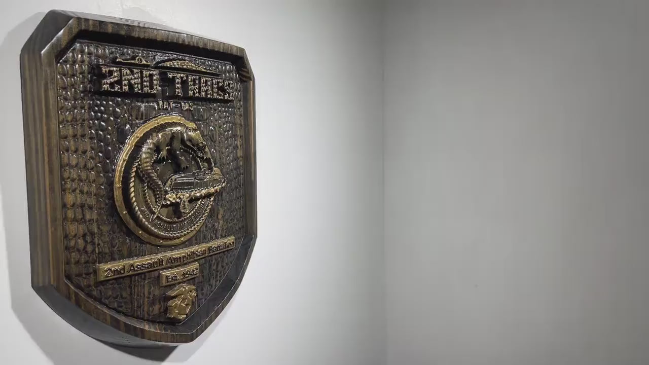 USMC 2nd Assault Amphibian Battalion, 2nd Tracs Black and Brass, military plaque