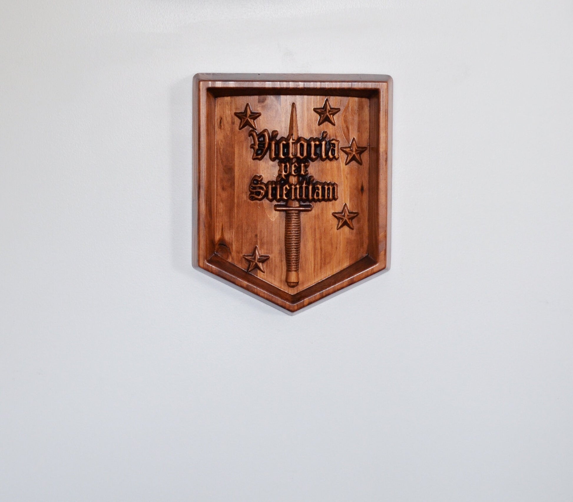 USMC Marine Raiders Training Center, Marine Special Operations Regiment, stained 3d wood carving, military plaque - Carved Effects